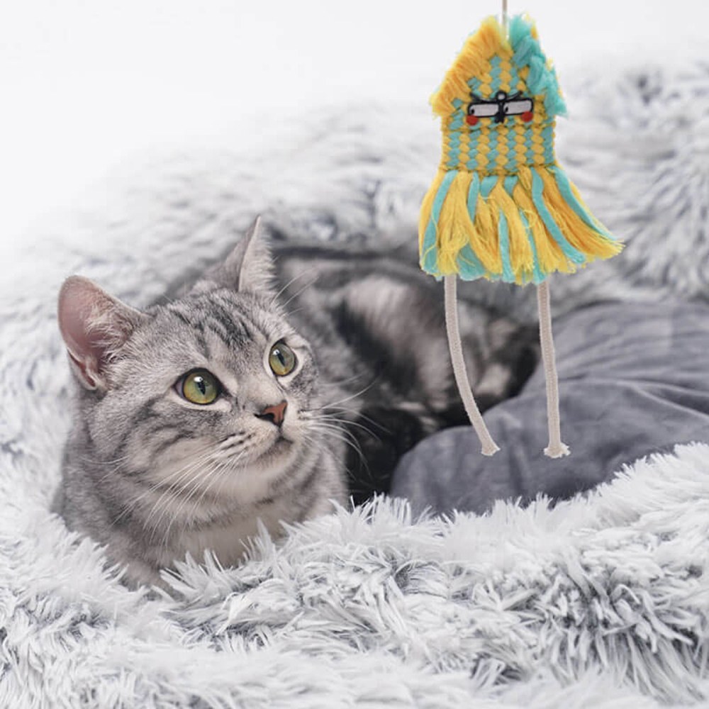 小鸚鵡貓薄荷逗貓棒