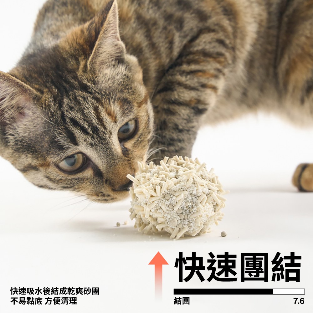混合貓砂 經典升級 (豆腐砂+礦砂+澱粉砂)