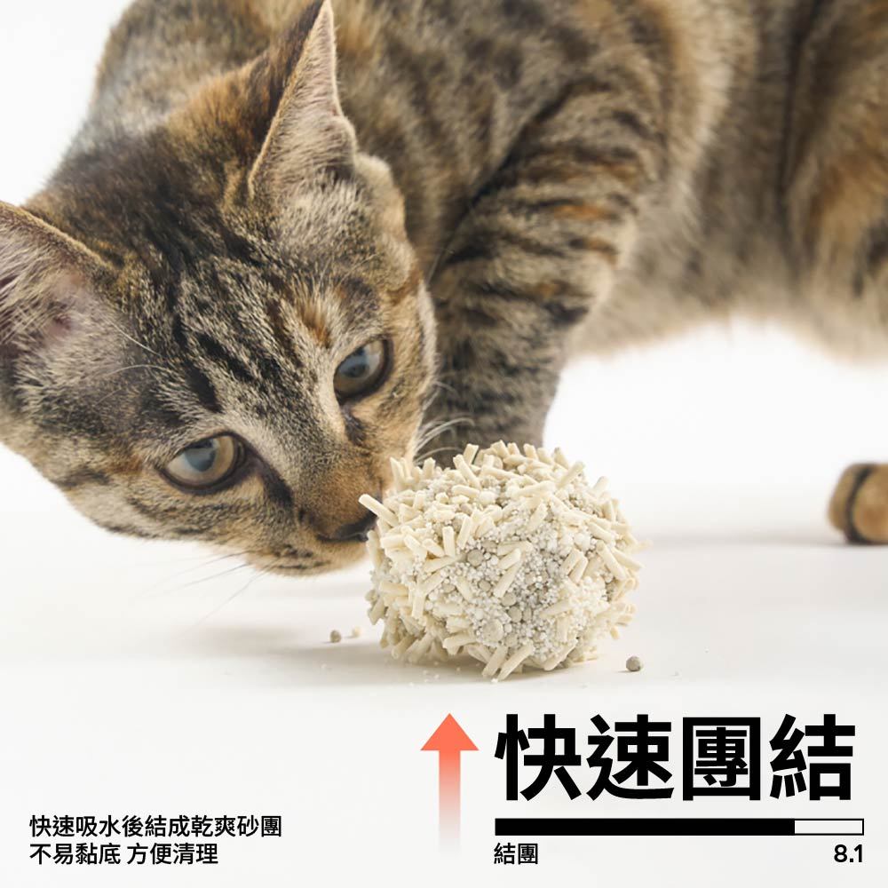 三合一木薯 (豆腐砂+礦砂+木薯砂)