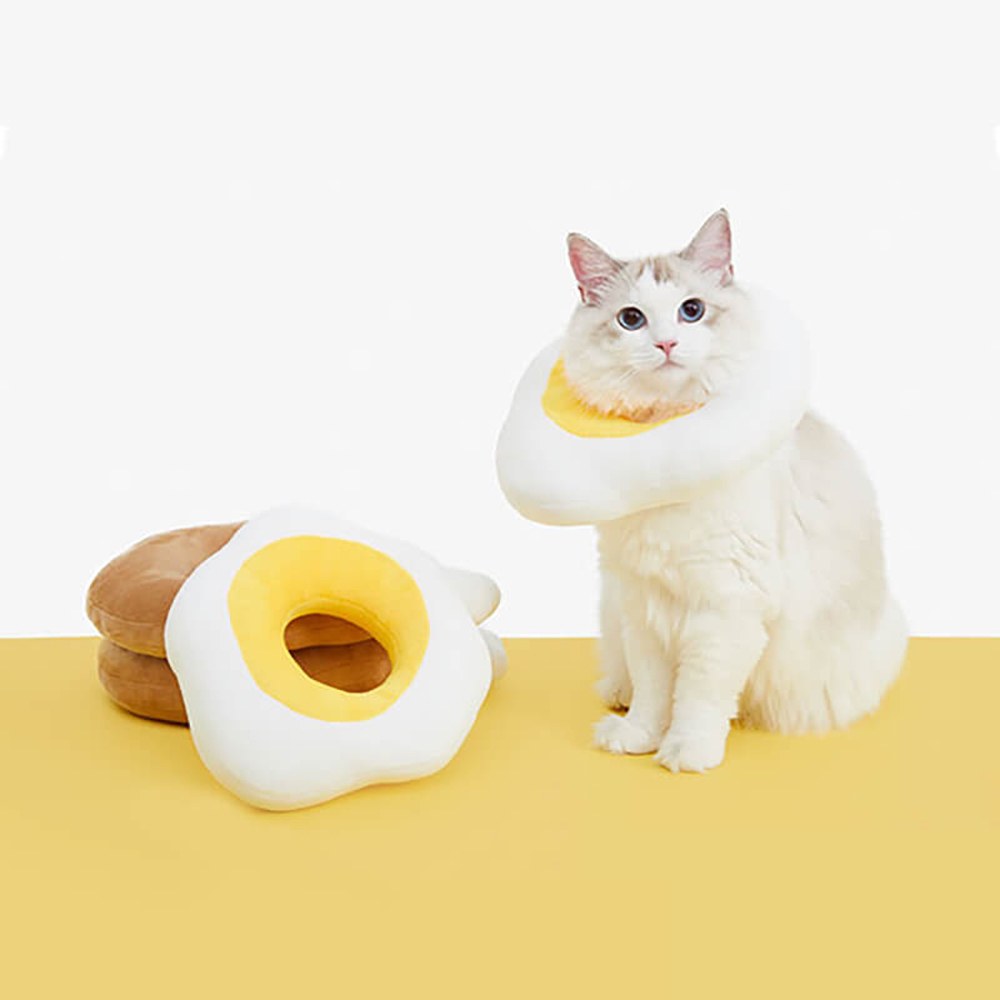 伊麗莎白脖圈 (雞腿、荷包蛋)