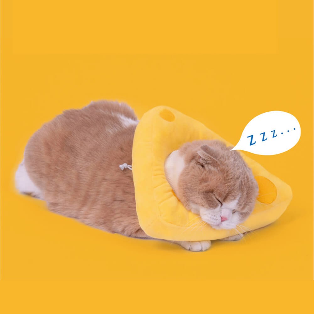 芝芝伊麗莎白圈