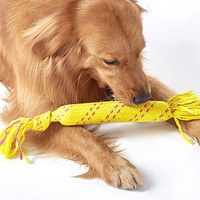 手拉軟管狗咬繩