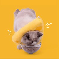 芝芝伊麗莎白圈